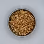 Deutsch 16 Male (Gold, Closed Barrel)