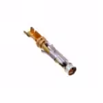 TE AMP Type III+ 66104-1 (Gold)